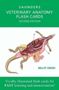 Abbildung von: Veterinary Anatomy Flash Cards - Saunders