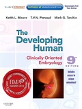 Bild: The Developing Human - Saunders