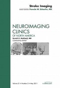 Cover: Stroke Imaging, An Issue of Neuroimaging Clinics: Volume 21-2 - Saunders