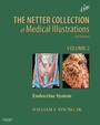 Cover: Netter Collection of Medical Illustrations: Endocrine System E-book - Saunders