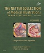 Cover: Netter Collection of Medical Illustrations: Reproductive System - Saunders