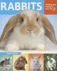 Enlarge image Cover: Rabbits - Enslow Publishing