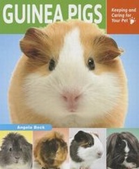 Enlarge image Cover: Guinea Pigs - Enslow Publishing