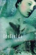 Cover: Icefields - Vintage Digital