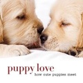 Cover: Puppy Love - Sterling