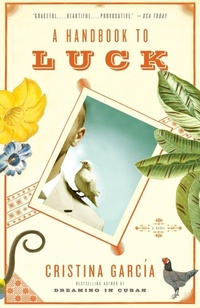 Enlarge image Cover: A Handbook to Luck - Vintage Books