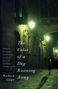 Enlarge image Cover: The Color of a Dog Running Away - Random House USA Inc