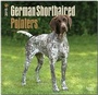 Bild: German Shorthaired Pointers 2015 - Deutsch Kurzhaar - Brown Trout