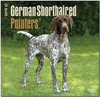 Bild vergrößern Bild: German Shorthaired Pointers 2015 - Deutsch Kurzhaar - Brown Trout