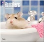 Bild: Hamsters 2015 - Hamster - Brown Trout