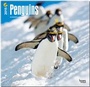 Cover: Penguins 2015 - Pinguine - Brown Trout