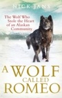 Cover: A Wolf Called Romeo - Virgin Digital