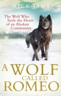 Enlarge image Cover: A Wolf Called Romeo - Virgin Digital