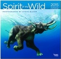Cover: Steve Bloom: Spirit of the Wild 2015 - Der Geist der Wildnis - Brown Trout-Auslieferer Flechsig
