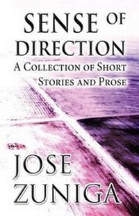 Enlarge image Cover: Sense of Direction - America Star Books