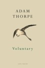Cover: Voluntary - Vintage Digital