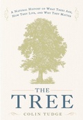 Cover: The Tree - Crown