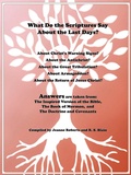 Cover: What Do the Scriptures Say about the Last Days? - iUniverse