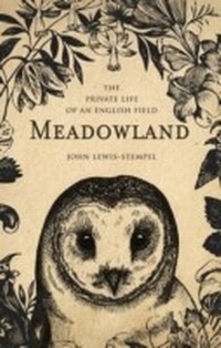 Abbildung von: Meadowland - Transworld Digital