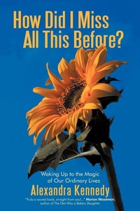 Enlarge image Cover: How Did I Miss All This Before? - iUniverse