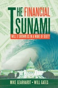 Cover: The Financial Tsunami - AuthorHouse