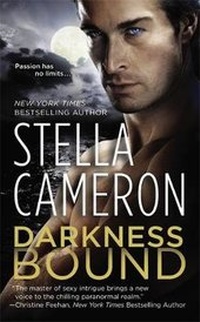 Enlarge image Cover: Darkness Bound - Forever