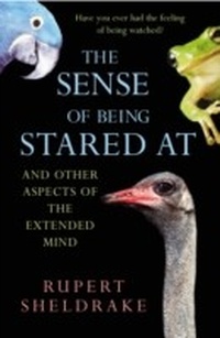 Abbildung von: The Sense Of Being Stared At - Cornerstone Digital