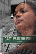 Cover: Castles in the Point - Xlibris