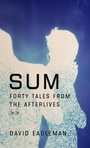 Cover: Sum - Vintage