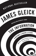Cover: The Information - Vintage