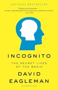 Cover: Incognito - Vintage
