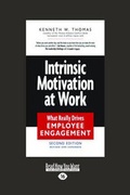 Cover: Intrinsic Motivation at Work - ReadHowYouWant