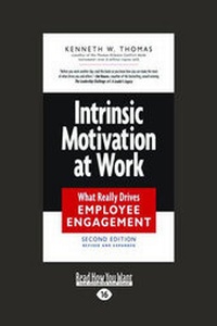 Enlarge image Cover: Intrinsic Motivation at Work - ReadHowYouWant