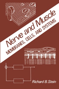 Enlarge image Cover: Nerve and Muscle - Springer
