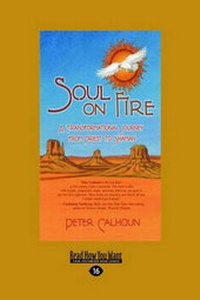 Enlarge image Cover: Soul on Fire - ReadHowYouWant