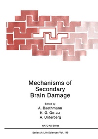 Enlarge image Cover: Mechanisms of Secondary Brain Damage - Springer