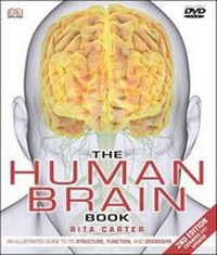 Enlarge image Cover: The Human Brain Book - DK Publishing (Dorling Kindersley)