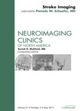 Cover: Imaging of Ischemic Stroke, An Issue of Neuroimaging Clinics - Saunders