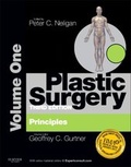 Cover: Plastic Surgery - Saunders