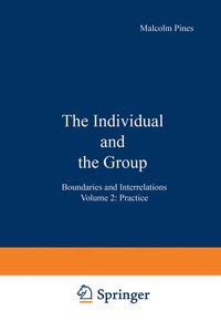 Enlarge image Cover: The Individual and the Group - Springer