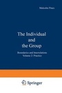 Cover: The Individual and the Group: Practice Volume 2 - Springer