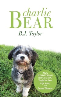 Enlarge image Cover: Charlie Bear - Inspiring Voices