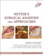 Cover: Netter's Surgical Anatomy and Approaches - Saunders