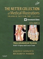 Cover: The Netter Collection of Medical Illustrations: Musculoskeletal System, Volume 6, Part II - Spine and Lower Limb - Saunders