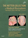 Cover: The Netter Collection of Medical Illustrations: Nervous System, Volume 7, Part II - Spinal Cord and Peripheral Motor and Sensory Systems - Saunders