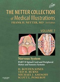Cover: The Netter Collection of Medical Illustrations: Nervous System, Volume 7, Part II - Spinal Cord and Peripheral Motor and Sensory Systems - Saunders
