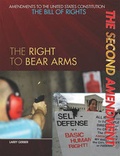 Cover: The Second Amendment - Rosen Central