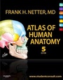 Bild: Atlas of Human Anatomy, Professional Edition - Elsevier