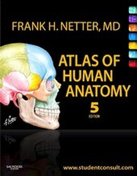 Bild vergrößern Bild: Atlas of Human Anatomy, Professional Edition - Elsevier