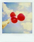 Cover: Polaroid Journal - Chronicle Books